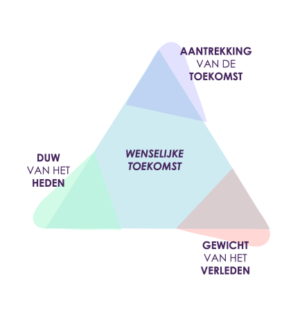 HIS toolkit Futures triangle afbeelding